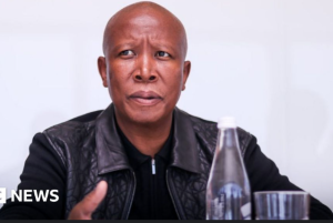 Maskandi artist channels Malema