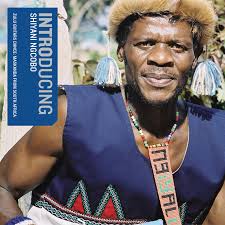 Let's Talk About Shiyani Ngcobo