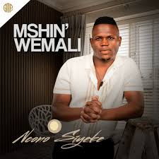 Mshin'wemali Biography