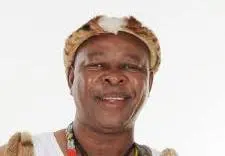 Phuzekhemisi biography