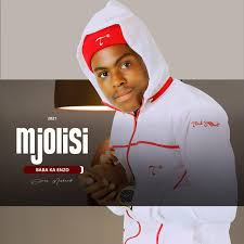 Mjolisi's biography, Age, Career journey and Education