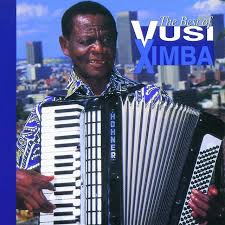 Vusi Ximba's Profile (Biography, Career, Age, Education)