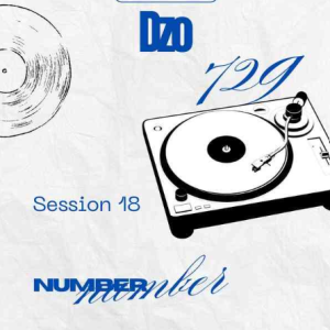 Dzo 729 – Number Number Session 18
