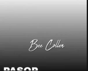 Bee Collen – Pasop (Original Mix)