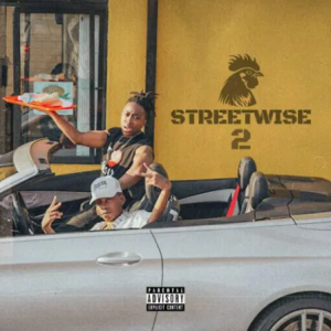 Majorsteez – The Honour ft Liema Pantsi & PinkFur