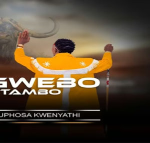 Sgwebo Sentambo – Ukuphosa Kwenyathi ft. Ama NND
