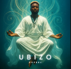 ALBUM: Dr Feel – Ubizo