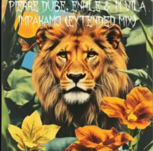 Pierre Dube – Impakamo ft Enhle & M Vila