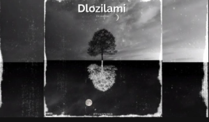 DJSkapter – DLozilami ft JAZZWRLD, Thukuthela, Zee Nxumalo, Babalwa M, Kelvin Momo & Major league djz