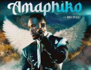 Siya Ntuli – Amaphiko ft Big Zulu