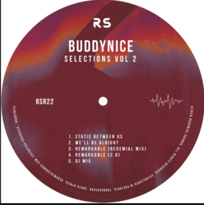 Buddynice – Selections Vol 2 DJ Mix