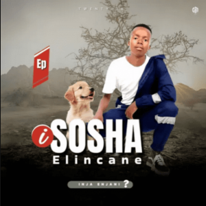 Sosha elincane – Dali