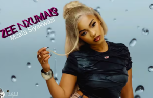 Zee Nxumalo x Shakes & Les – Mzala Siyakwazi 
